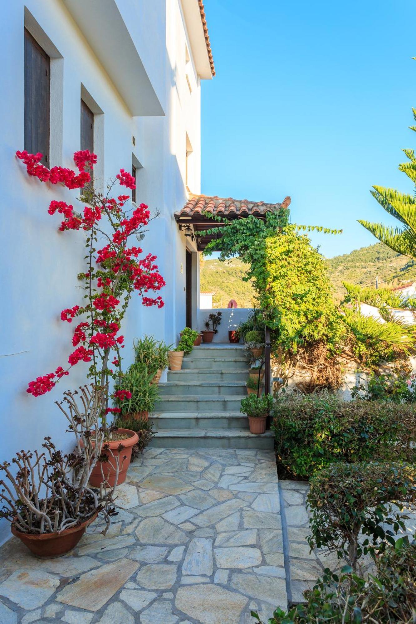 Nikolaos Studios Apartments Skopelos stad Exteriör bild