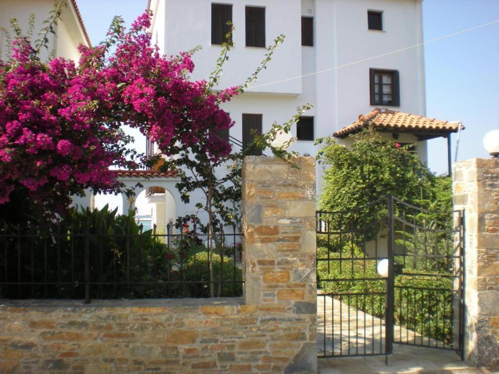 Nikolaos Studios Apartments Skopelos stad Exteriör bild
