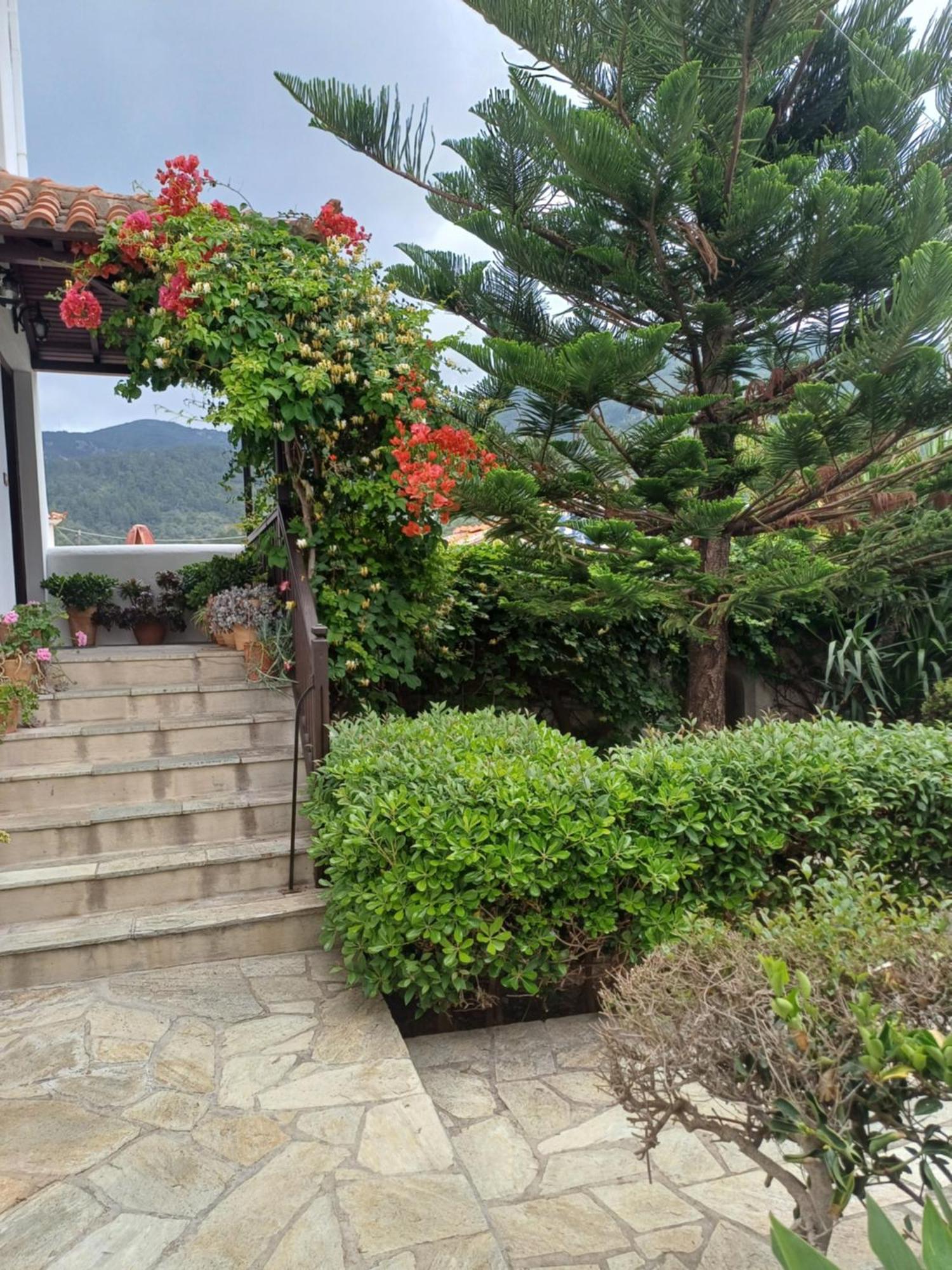 Nikolaos Studios Apartments Skopelos stad Exteriör bild