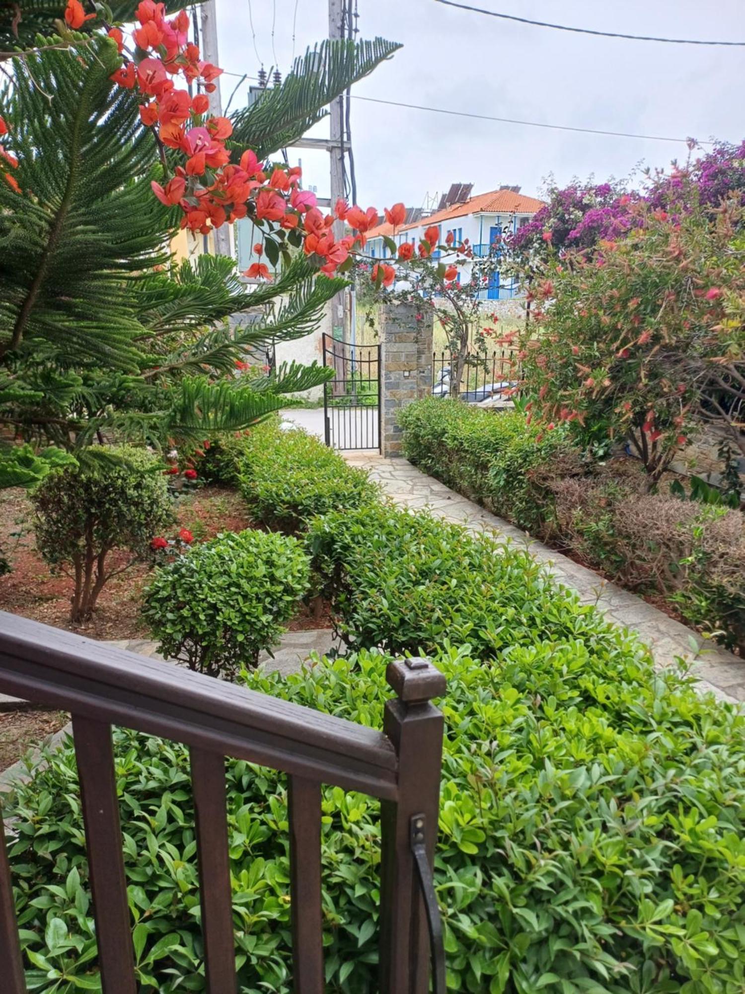 Nikolaos Studios Apartments Skopelos stad Exteriör bild